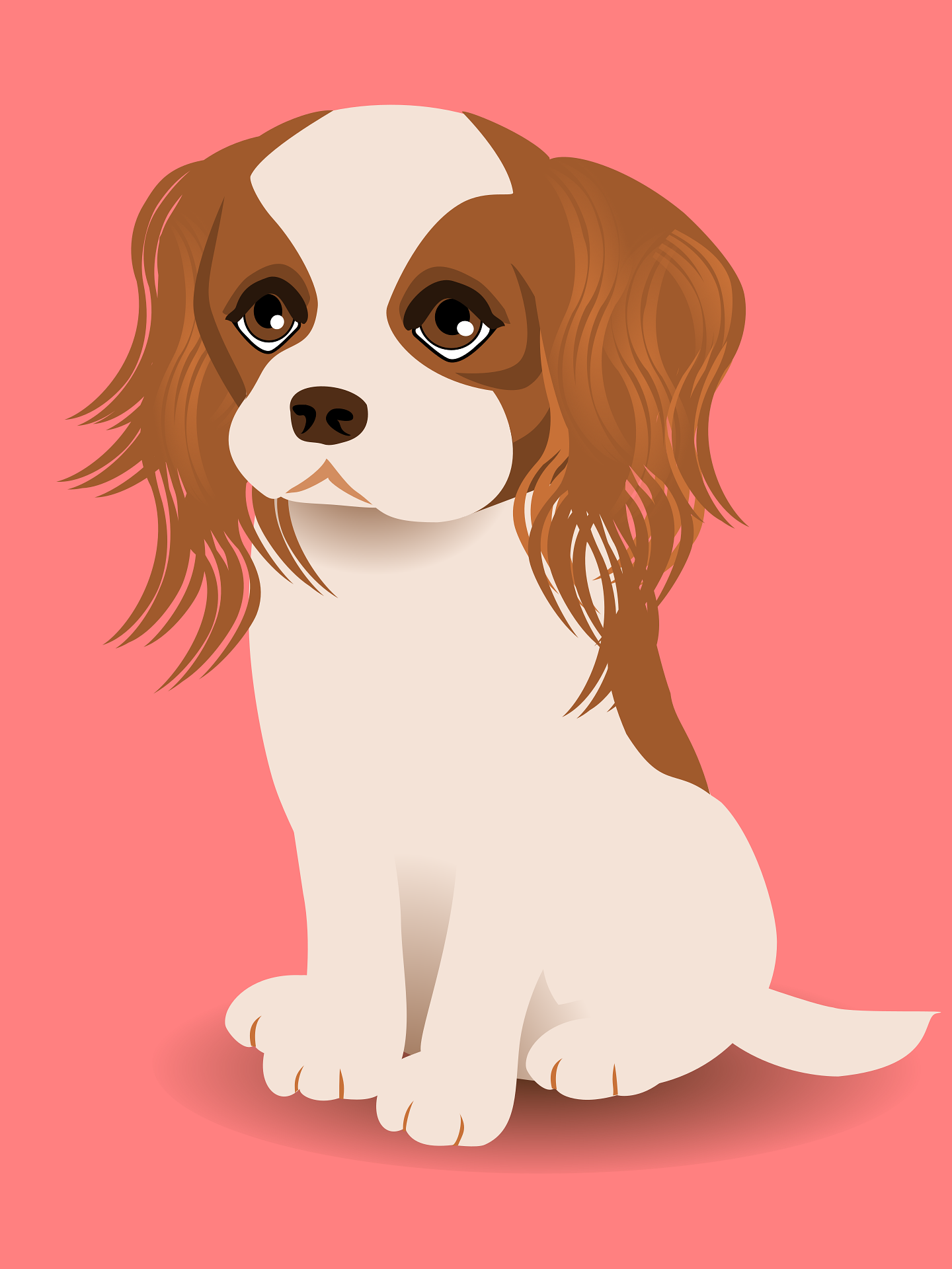 Cavalier king charles