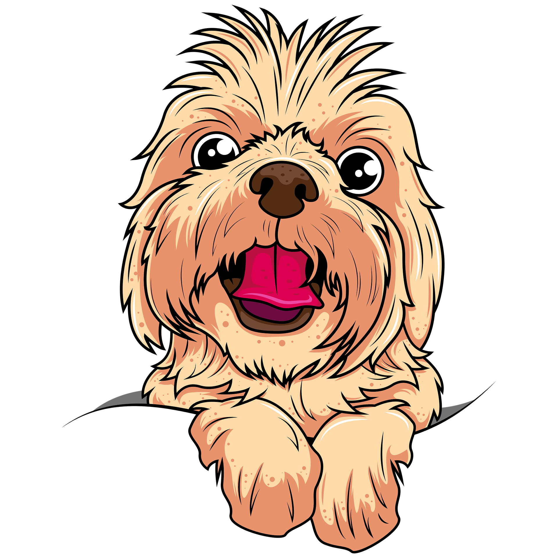 Shih tzu